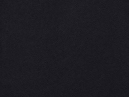 Leather Upholstery 南亞呼吸系列 皮革 沙發皮革 3841 黑色